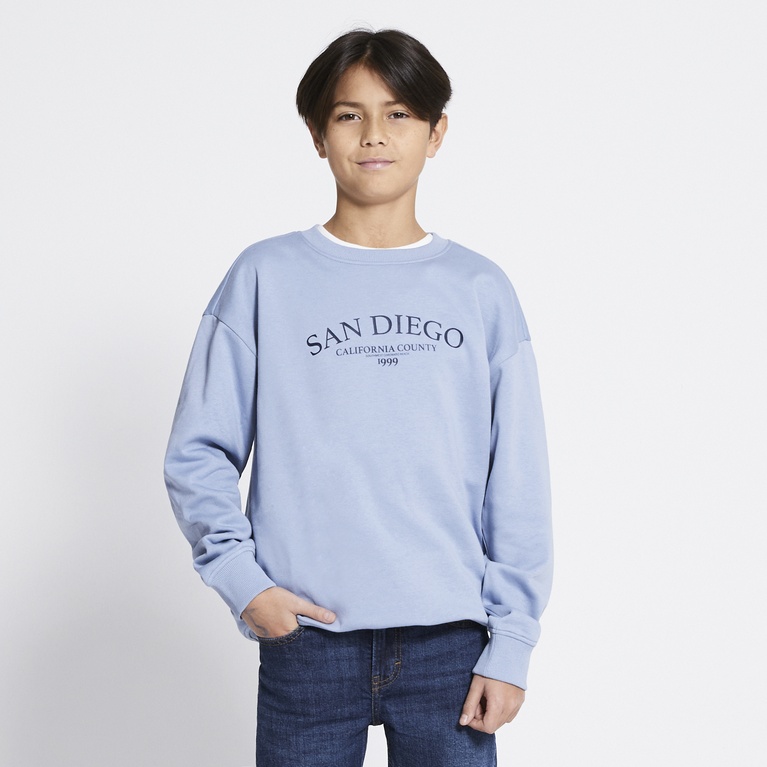 Printed Sweatshirt "Vilgot" Blue 3